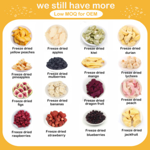 Usine en gros 100% tranches de fruits mélangés lyophilisés naturels conservés dans un emballage sous vide pour la cuisson <span class=keywords><strong>OEM</strong></span> disponible - Product Image 4