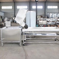 Beste Prijs Lage Temperatuur Vacuüm Frituurmachine/Vacuüm Friteuse Apparatuur Voor Groente En Fruit