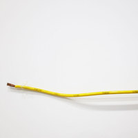 10 12 14 Awg Cable Conductor de cobre eléctrico Cable revestido de nailon aislado de Pvc Thwn Thhn Wire