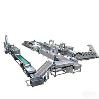 HT Hoogwaardige Volledig Automatische Aardappel Frites Productielijn 100-3000kg/u met Aardappel Schil- en Snijmachines