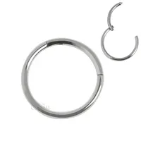 16g Nose Ring STOCK ETERNAL METAL 20G 0.8MM 18G 16G 14G 12G 10G ASTM F 136 TITANIUM Hoop Nose Clicker Hinged Segment Ring Body Jewelry