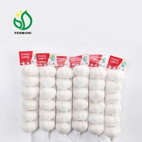 Ajos / Ail rouge frais de Chine pour le marché chilien 10kg/carton, 55mm/60mm Qualité export