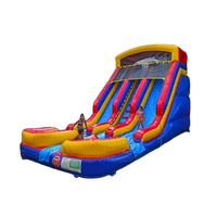 Toboggan aquatique gonflable géant de qualité commerciale, double piste, en PVC, certifié CE, personnalisable pour la maison, l'école, les fêtes résidentielles