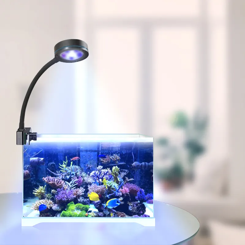 Aqua sanrise Full Spectrum Korallen wachsen weiß blau Aquarium Aquarium wachsen Mini Nano Marine Riff Tank LED-Licht