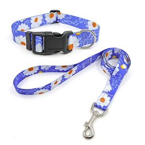 Ensemble collier et laisse pour chien à motif floral bleu marguerite, boucle réglable pour petits chiens - Product Image 1