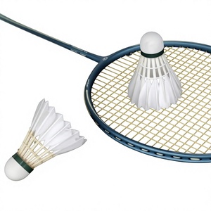 Raqueta de Bádminton Ofensiva 4U G6 Sin Marca, Fibra de Carbono, Ligera, Alta Rigidez, 28lbs, Profesional - Product Image 1