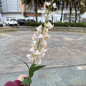 Fiori Artificiali Blu e Rossi, Campanula in Seta, Giglio delle Colline a Stelo Lungo, Campanula Artificiale Bianca e Rosa - Product Image 2