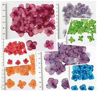 Fiori di Ortensia Essiccati e Pressati per Arte in Resina, Fai da Te, Decorazioni per Matrimoni, Segnalibri, Gioielli, Cartoline e Decorazioni per Cover di Telefoni