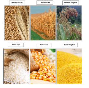 Máquina Descascarilladora de Precisión para Arroz, Maíz, Trigo Sarraceno y Cebada - Product Image 6