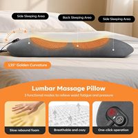 Masseur dorsal électrique filaire 3-en-1 Eveekon avec chaleur, vibration Shiatsu et traction lombaire pour soulager les douleurs profondes des tissus