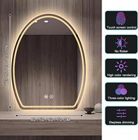 Miroir de courtoisie mural LED rond irrégulier rétroéclairé avec capteur tactile, anti-buée, intensité variable, 3 couleurs, 60x80cm, fabriqué en Chine