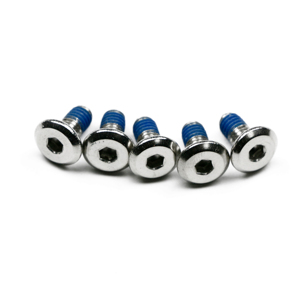 Tornillo de Fijación con Cabeza Plana y Parche de Nylon Personalizado, con Accionamiento Torx, Rosca de Acero Inoxidable, Fabricado en China por el Fabricante - Product Image 1