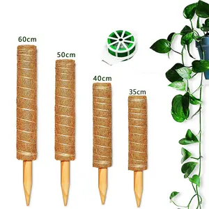 定制长度可堆叠苔藓杆可可椰壳图腾杆支持室内植物向上生长