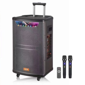 NDR-515 Chuyên Nghiệp Lớn Điện 15 Inch Bt Stereo Hifi Bằng Gỗ Không Dây Loa Karaoke Với Mic Đảng Sân Khấu Xe Đẩy Loa Bass - Product Image 1
