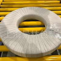Empaquetadora de bobinas de acero horizontal automática JL
