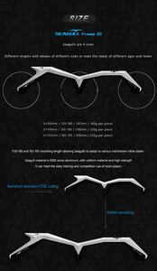 Patins à roulettes en alliage d'aluminium Stanley Seagull les plus populaires, roues argentées, vente en gros, adultes, enfants, logo personnalisé, chaussures de patinage, 230g CNC - Product Image 6