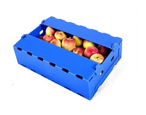 Coroplast en plastique pour fruits en plastique, corail, <span class=keywords><strong>cerise</strong></span>, pour pomme rai - Product Image 6