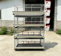 Cage à poulets à 2 portes en acier galvanisé à chaud, 3 couches, pour 60 oiseaux