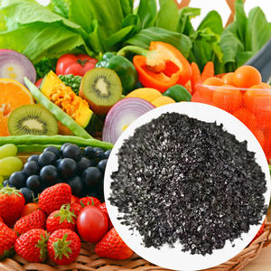 Acide Fulvique de Potassium de Haute Qualité, Acide Humique 60%, <span class=keywords><strong>Engrais</strong></span> Organique Granulaire 53% pour Favoriser le <span class=keywords><strong>Développement</strong></span> des Systèmes Racineux - Product Image 4