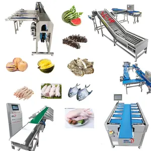 Automatic Avocado Vegetable Vision Weight Washing Straight Line Fruit Color Sorting Machine Persimmon Grading Machine