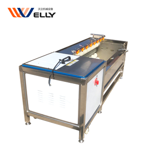 500-800 kg/saat patates soyma ve çamaşır makinesi/zencefil soyucu ve yıkama makinesi - Product Image 4