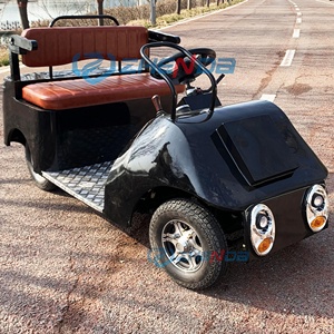 Voitures électriques rétro classiques homologuées pour la route, idéales pour les circuits touristiques en zone panoramique, à vendre - Product Image 5