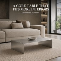 Table basse rectangulaire KINNO moderne en acier inoxydable 304, faite à la main, 80x50x30cm, épaisseur 4mm, durable, facile à nettoyer, pour appartement, salon