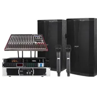 Équipement de sonorisation professionnel pour mariage en extérieur, double microphone, grande boîte en bouleau, néodyme, haut-parleur simple de 15 pouces haute puissance