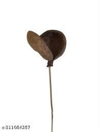 Alta calidad Badam Pod para manualidades DIY Popurrí Eventos y Navidad Acción de Gracias Decoración al por mayor - Product Image 2