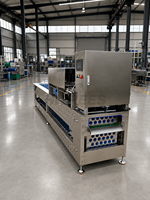 Machine à éplucher les fraises automatique de qualité supérieure pour l'élimination des tiges de fraises avec alimentation continue