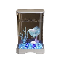 Ensemble complet de petit aquarium de bureau moderne pour poisson rouge Betta Aménagement paysager écologique Éclairage écologique Poisson rouge créatif