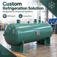 Réservoir horizontal en acier au carbone sur mesure pour liquides, cuve de réfrigération sous pression, équipement de stockage frigorifique