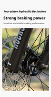 Bicicleta de Montaña de Carbono de Alto Módulo con Eje Pasante Boost, Amortiguador Trasero de Aire, Neumático Maxxis, Bicicleta de Montaña Personalizada para Carreras Amateur