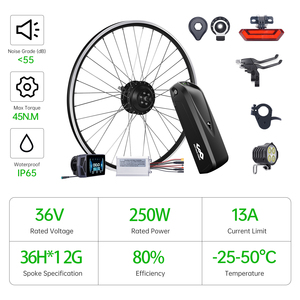 EU Cổ DIY 36V 250W 26 ''27.5' '29 ''Phía Sau Ổ Đĩa Xe Đạp Điện Hub Động Cơ Chuyển Đổi Bộ Dụng Cụ Với Bộ Điều Khiển - Product Image 2