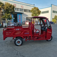 Крупные прямые продажи легких газовых трициклов с гибким навесом, просты в использовании и быстро работают