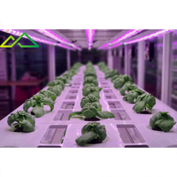 Système de culture hydroponique modulaire multi-niveaux de grande taille |   Solution d'agriculture verticale haute densité, structure en acier galvanisé à chaud