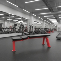 Banc de musculation multifonctionnel pour exercices de fitness, banc plat pour sit-ups et développés couchés