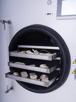 Nieuwe Generatie 0.6m2 Automatische 220V 2800W Fruit Vacuüm Vriesdroger Lyofilisator voor Voedselverwerking PLC Kerncomponenten
