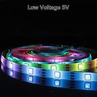 Bande LED USB Dream WS2812 RGB IC en cuivre avec télécommande, ruban adhésif double face intégré, étanche IP66, barre lumineuse décorative pour bureau de jeu