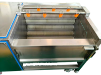 Groente Wasmachine Luchtbellen Groenten Wasmachine Voor Fruit Champignons Verwerkingsfabriek Met Motor & Pomp
