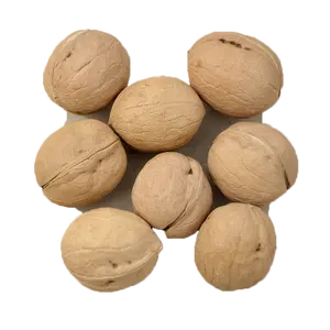 High Quality Chinese Organic Walnuts 33 type