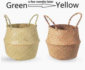 Herbe de mer avec couvercle panier tissé en rotin pas cher panier en osier mur fruits grande étagère de transport blanche petit ventre plante ensemble 3 ronds - Product Image 5