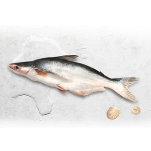 <span class=keywords><strong>ปลา</strong></span>บาซาเวียดนาม <span class=keywords><strong>ปลา</strong></span>ปังกาซิอุสแช่แข็งสำหรับขาย <span class=keywords><strong>ปลา</strong></span>ดอรี่ ปังกาซิอุส ไฮโปฟัลธัมมัส <span class=keywords><strong>ปลา</strong></span>ดุก - Product Image 2