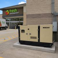 Generador Diésel Súper Silencioso de 275KVA 250kva 200kw Trifásico 400V 50Hz para Supermercados, Conciertos, Hoteles, con Certificación ISO CE