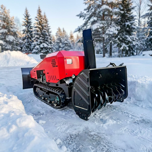 Envío Gratis, Precio Más Bajo, Mini Quitanieves de Cadena con Motor de 15hp, Control Remoto, Profesional para Remoción de Nieve - Product Image 1