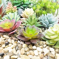 Succulentes en gros décoratif mini cactus assortiment extérieur intérieur suspendu arrangement plantes artificielles succulentes à vendre