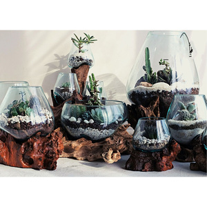 Handmade tan chảy thủy tinh trên lũa Bình độc đáo hồ cạn bình thủy tinh cho trang trí nội thất mặt hàng Chậu hoa trồng - Product Image 1