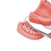Kit de suture dentaire orthodontique chirurgicale Kit de pratique de modèle de suture dentaire