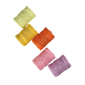 Wholesale 2mm Colored Iron Wire Paper Rattan Used For Bouquet Gardening Paper Packaging Line Winding DIY Project