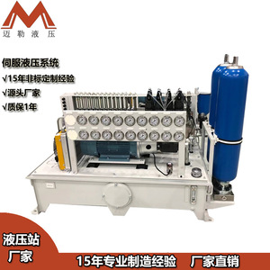 Système servo proportionnel électrohydraulique 25MPA sur mesure pour machines de poinçonnage - Product Image 2